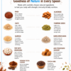 Nutrispoon - Image 3
